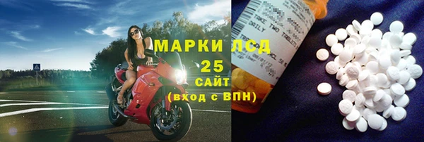 гидра Вяземский