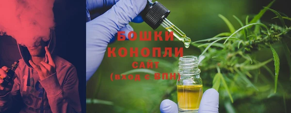 мдпв Володарск