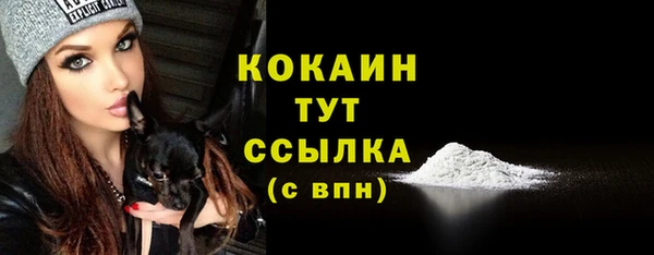 СК Волосово