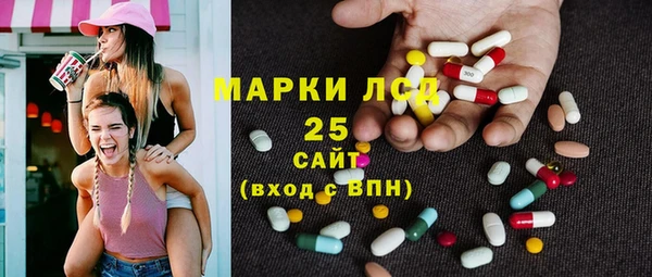 гидра Вяземский