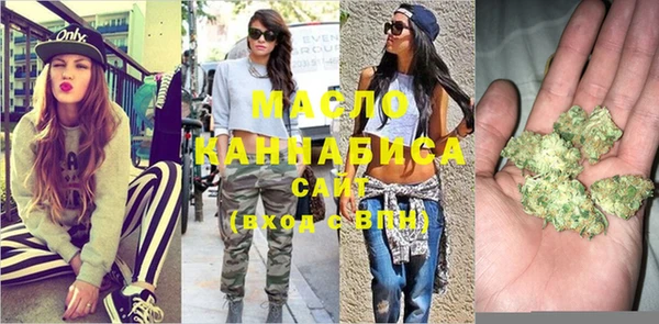 мдпв Володарск