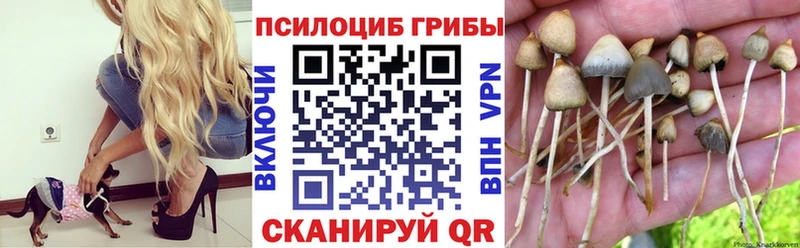 Псилоцибиновые грибы Psilocybine cubensis  Купить  Харовск 