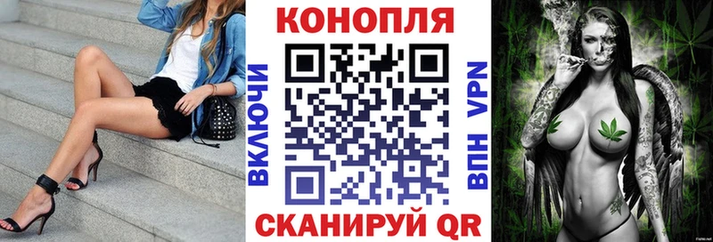 Купить Харовск Каннабис тримм